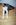 Fotoalben fr web/Suchergebnisse fr katzen/007_4A.JPG