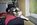 Fotoalben fr web/Suchergebnisse fr katzen/014_11A.JPG