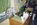 Fotoalben fr web/Suchergebnisse fr katzen/038_36A.JPG