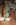Fotoalben fr web/Suchergebnisse fr katzen/004_2A.JPG