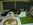 Fotoalben fr web/Suchergebnisse fr katzen/DSC02068.JPG