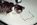 Fotoalben fr web/Suchergebnisse fr katzen/Bild001_Neg.Nr.2A.jpg