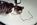 Fotoalben fr web/Suchergebnisse fr katzen/Bild000_Neg.Nr.1A.jpg