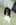 Fotoalben fr web/Suchergebnisse fr katzen/007_7A.JPG