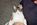 Fotoalben fr web/Suchergebnisse fr katzen/Bild002_Neg.Nr.3A.jpg